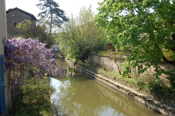 La Chalaronne - Châtillon-sur-Chalaronne