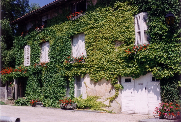 Vue du village - Chavannes-sur-Suran