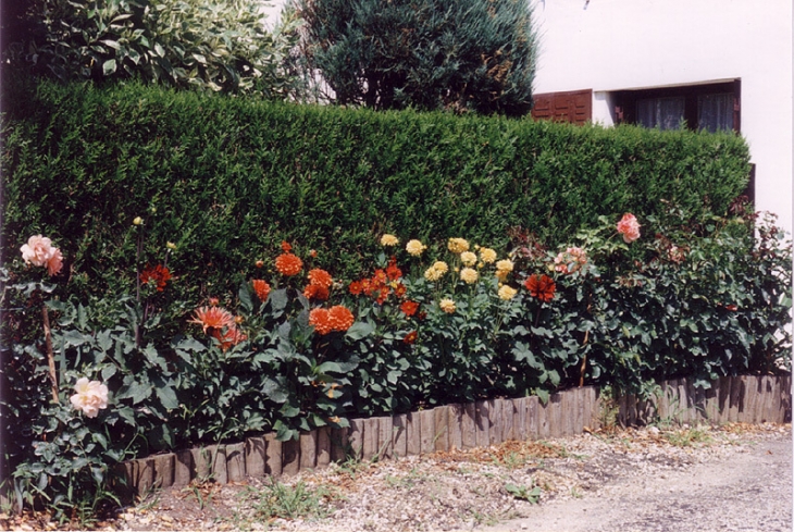 Vue du village - Chavannes-sur-Suran