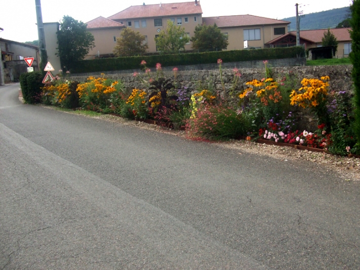 Vue de Chavannes, en fond, la mairie - Chavannes-sur-Suran