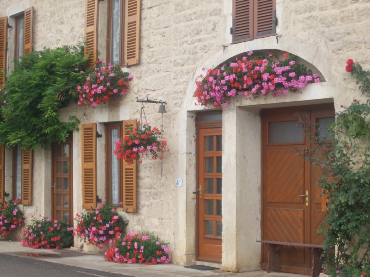 Vue de Chavannes - Chavannes-sur-Suran