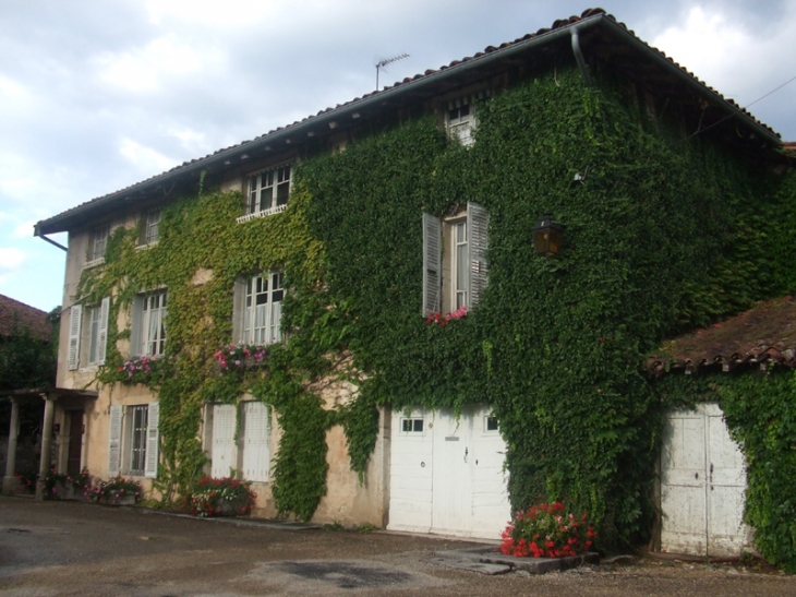 Vue de Chavannes - Chavannes-sur-Suran