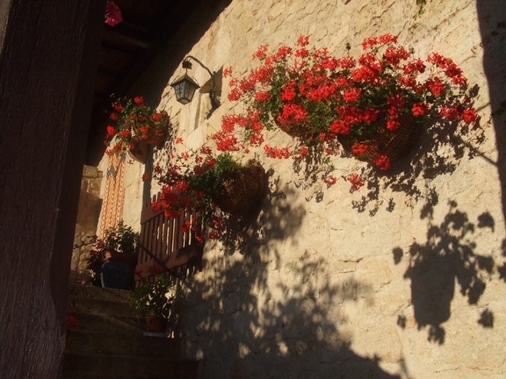 Vue de Chavannes - Chavannes-sur-Suran