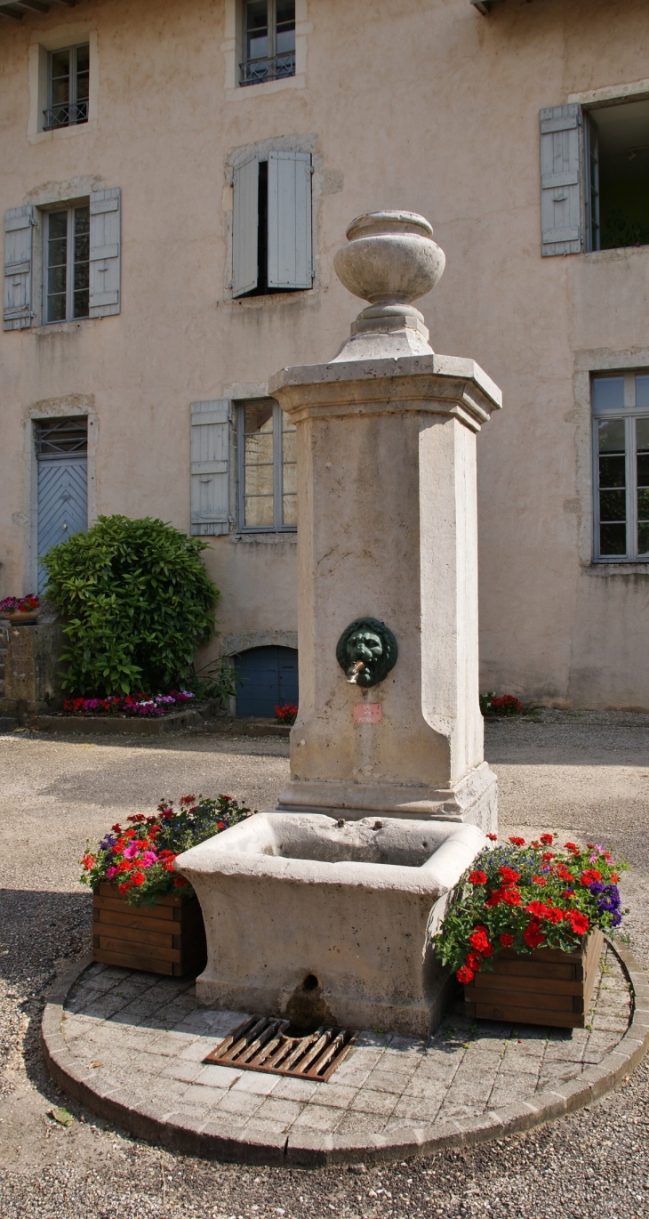 Fontaine - Chavannes-sur-Suran