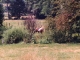 Photo précédente de Chavannes-sur-Suran Calme et nature