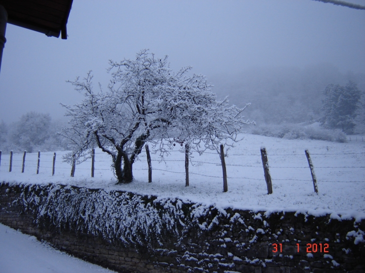 Février 2012 glacial - Coligny