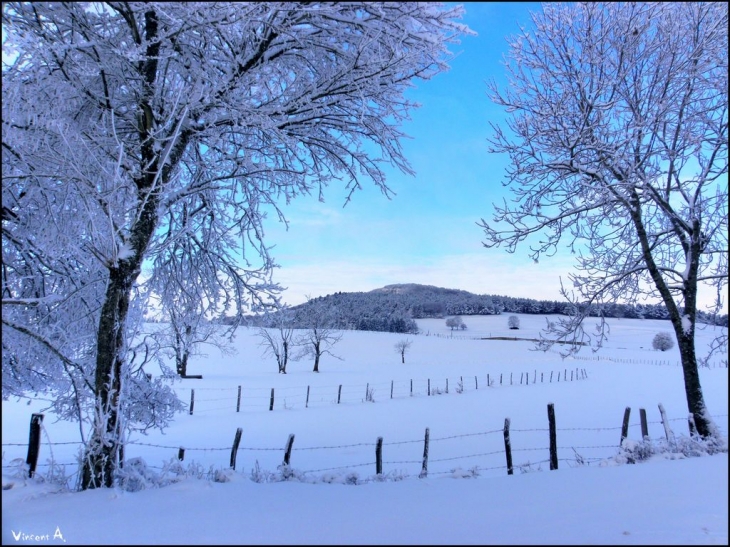 Prairies enneigées - Corlier