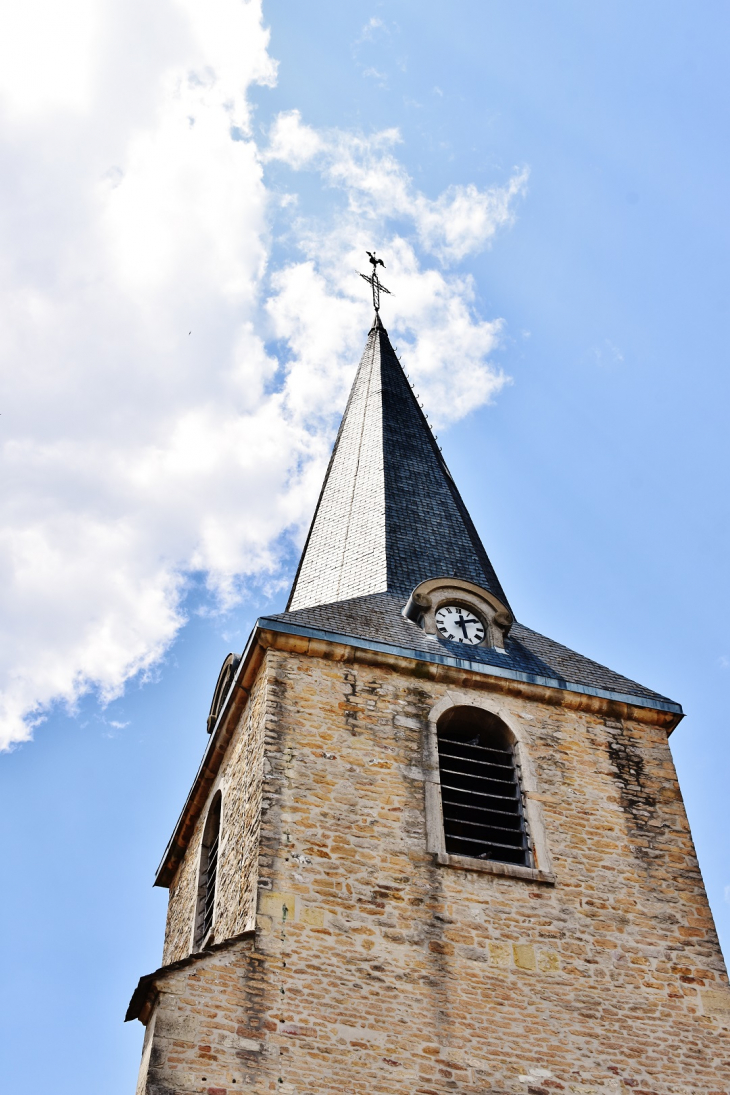 **église Saint-Didier - Cormoranche-sur-Saône