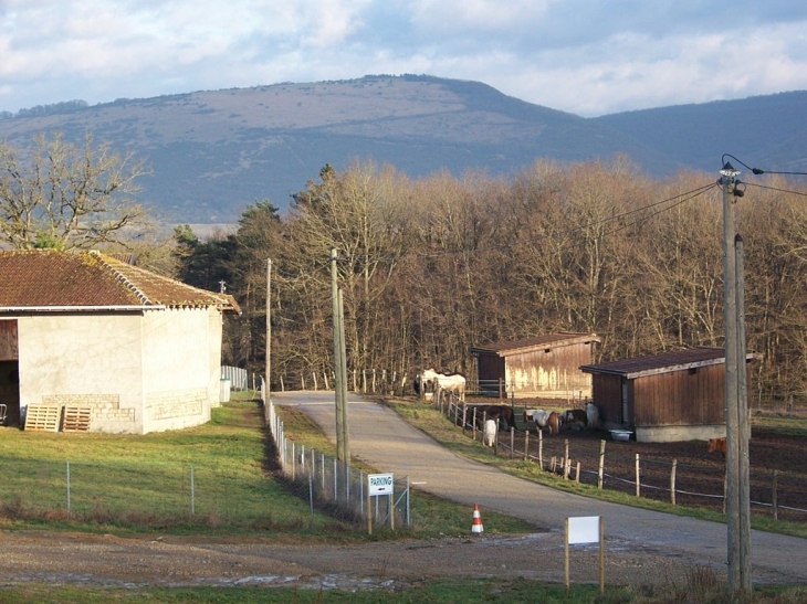 Vue du mont MYON depuis le lieu dit 