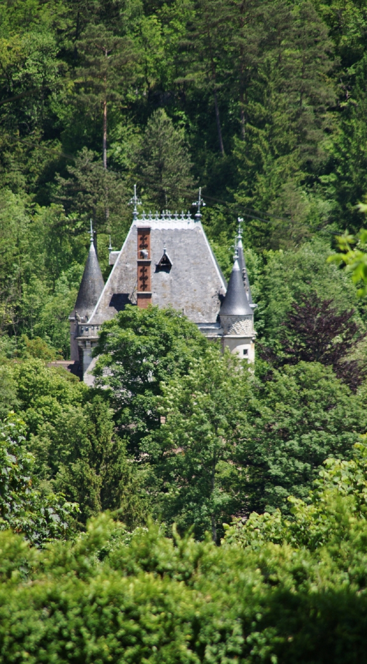 *Château de Dortan 