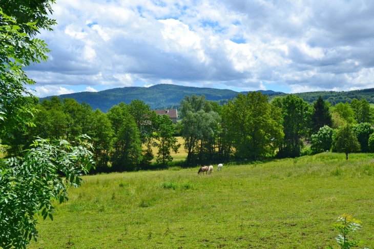  Bonnaz Commune de Dortant