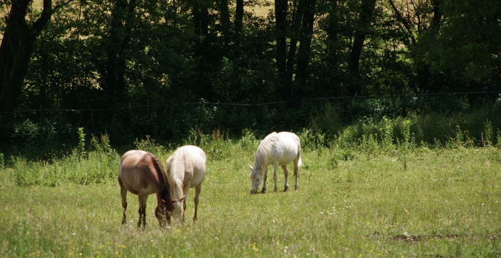  Bonnaz Commune de Dortant