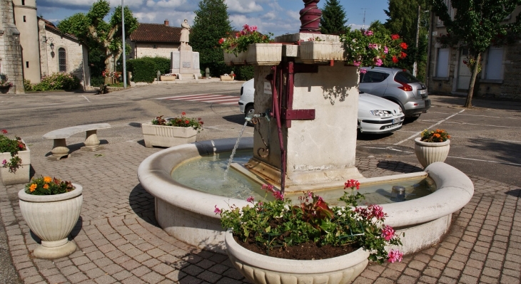 La Fontaine - Druillat