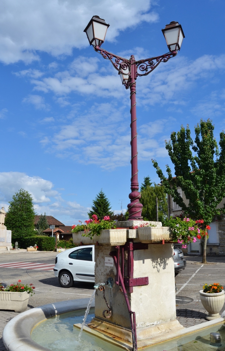 Fontaine - Druillat