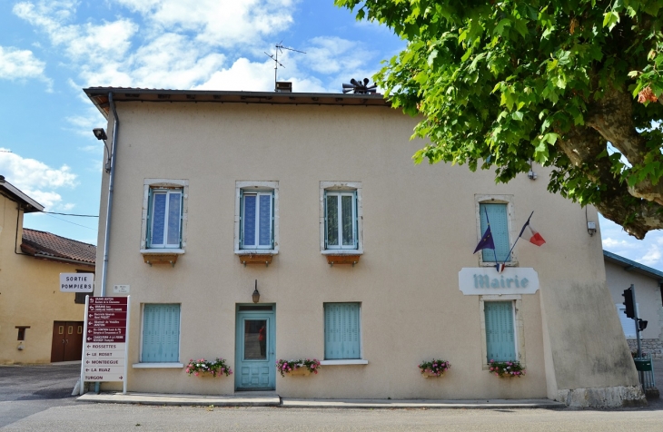 La Mairie - Druillat