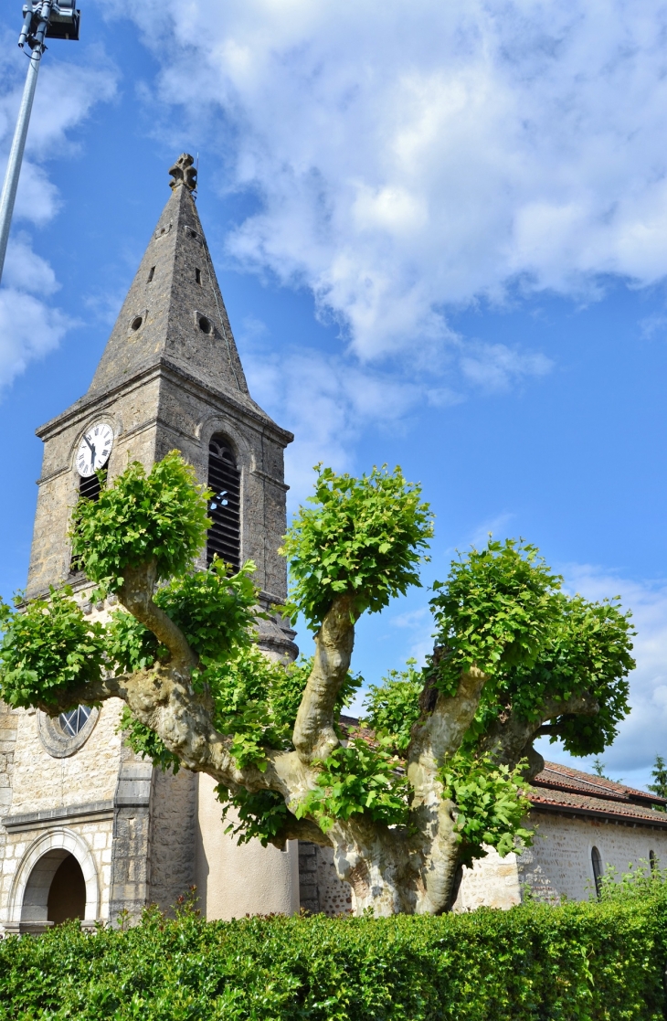 L'église - Druillat