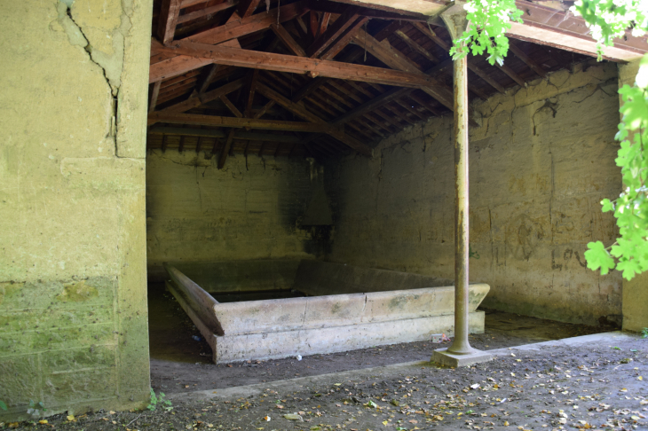 Lavoir - Fareins