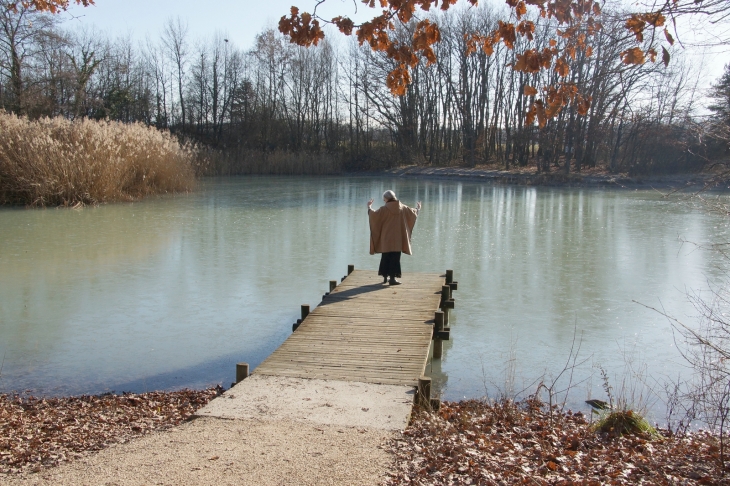 Etang de Colovrex - Ferney-Voltaire