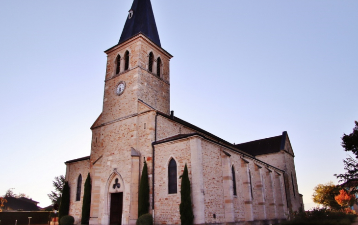  église Saint-Martin - Grièges