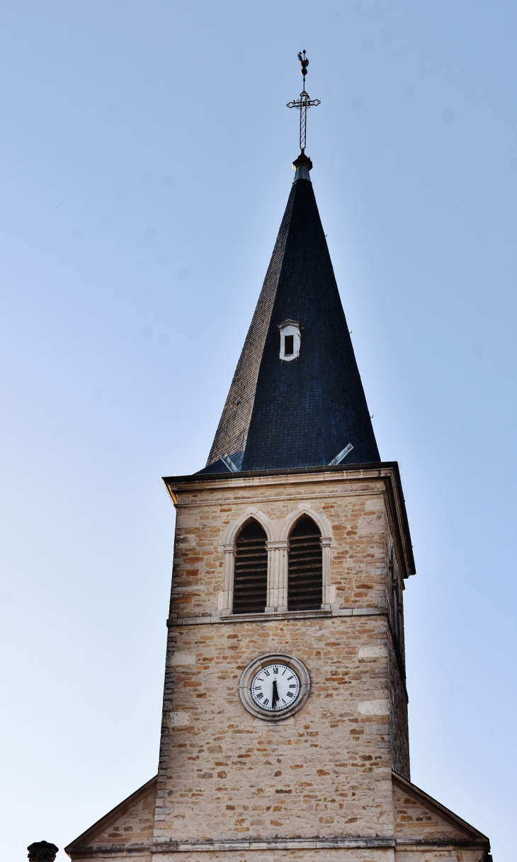  église Saint-Martin - Grièges