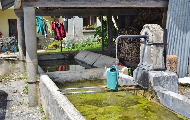 La Rivoire ( Commune D'Hotonnes )(fontaine et Lavoir)