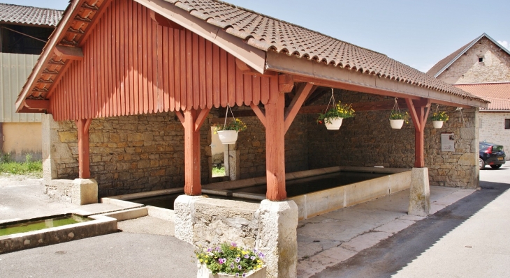 Le Lavoir - Izernore