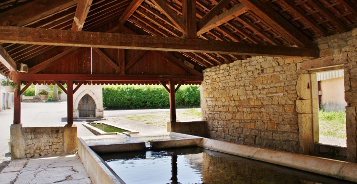 Le Lavoir et la Fontaine - Izernore