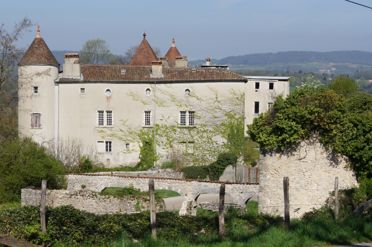 Château de chenavel - Jujurieux