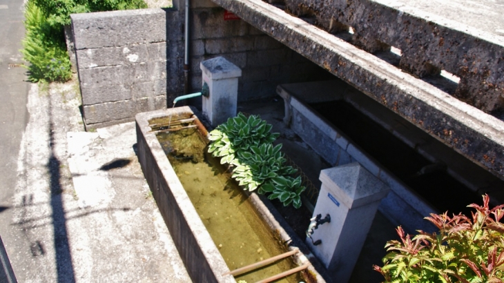 Fontaine et Lavoir - Lalleyriat