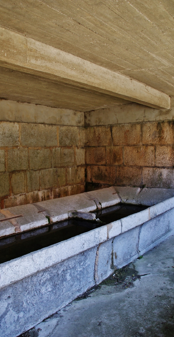 Le Lavoir - Lalleyriat