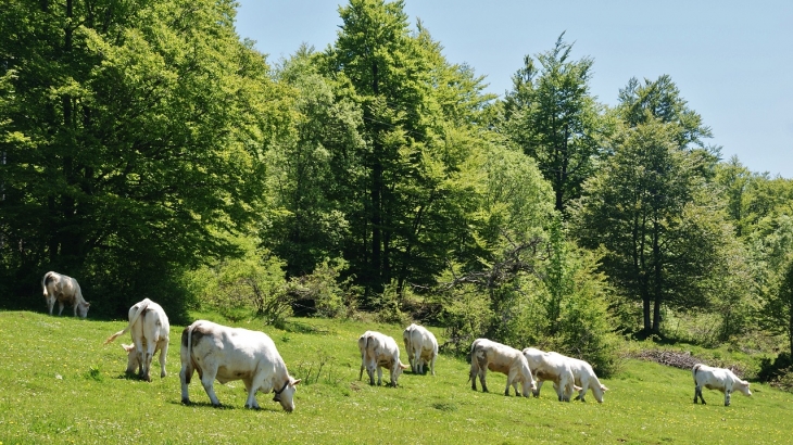 Plateau de Retord - Le Poizat