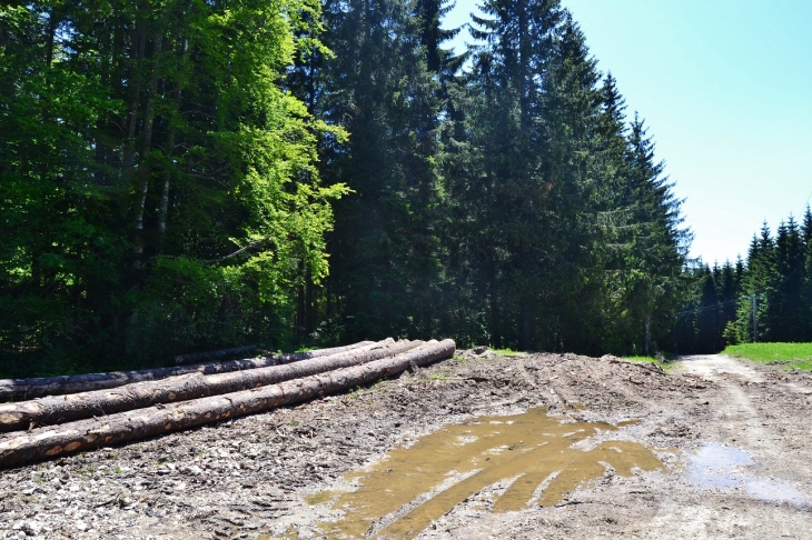 Plateau de Retord - Le Poizat