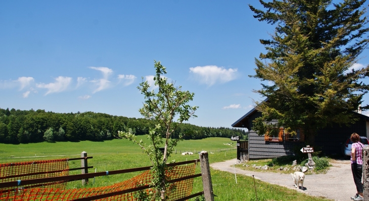 Auberge de Retord - Le Poizat