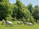 Photo suivante de Le Poizat Plateau de Retord