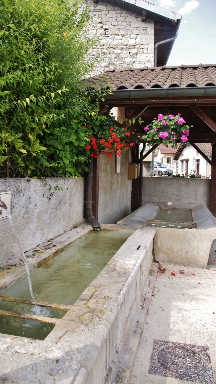 Fontaine et Lavoir - Matafelon-Granges