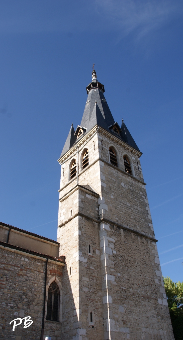 église Saint Apollinaire - Meximieux