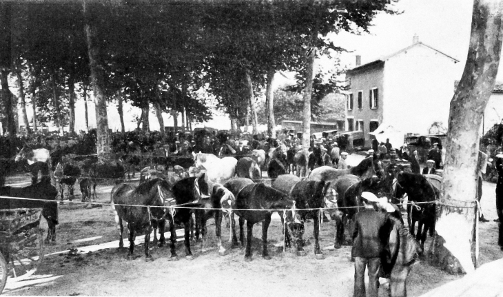 Foire aux chevaux - Montmerle-sur-Saône