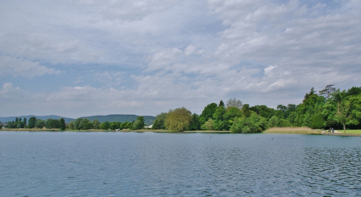 Le Lac - Montréal-la-Cluse