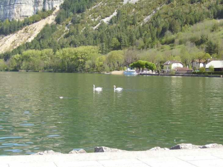 Le lac - Nantua