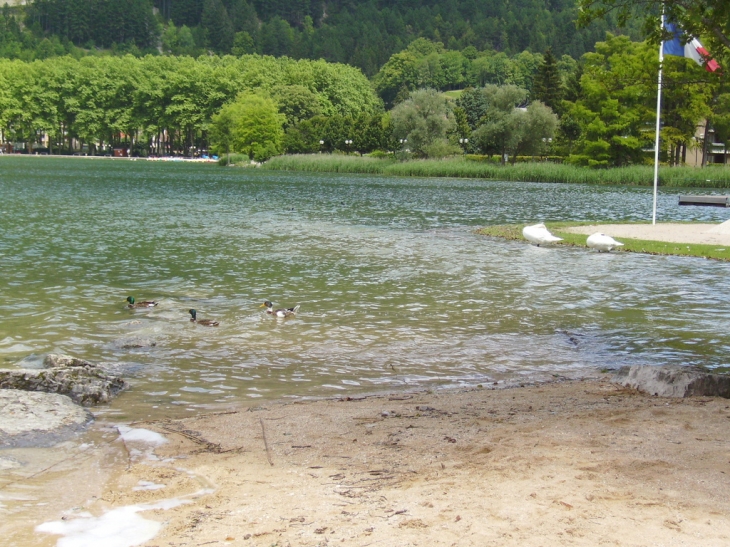 Le bord du lac de Nantua