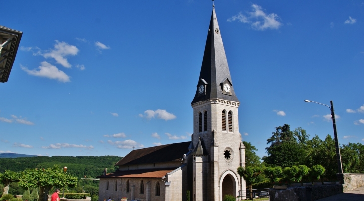 -église Saint-Martin - Neuville-sur-Ain