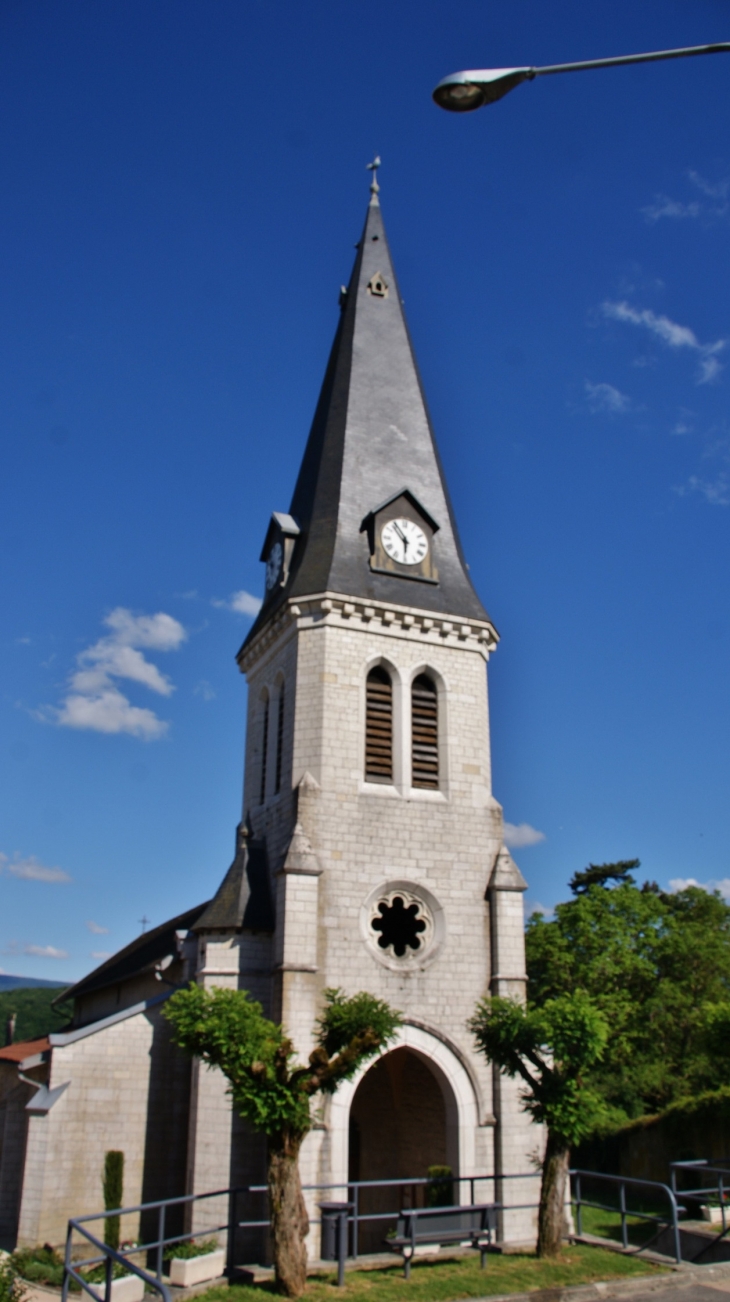 -église Saint-Martin - Neuville-sur-Ain