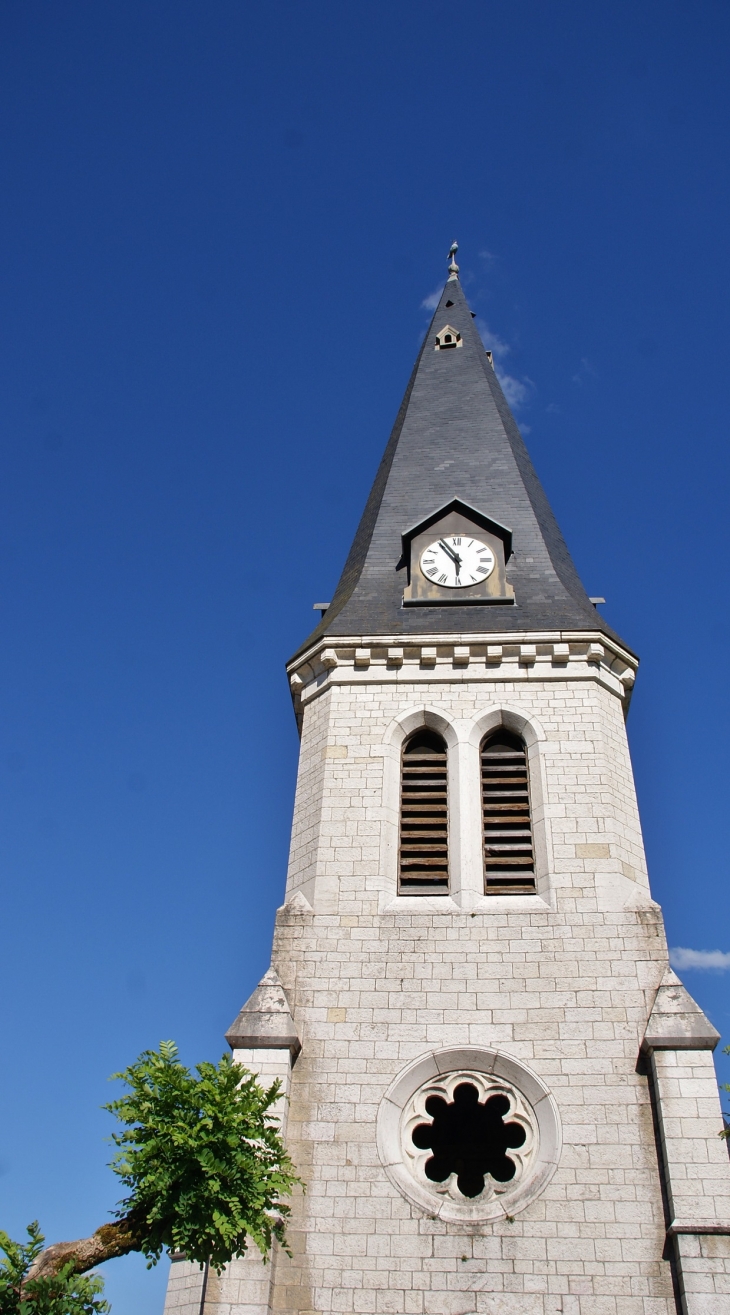 -église Saint-Martin - Neuville-sur-Ain