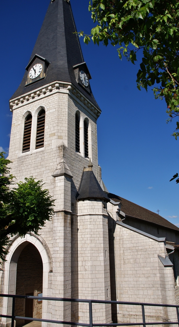 -église Saint-Martin - Neuville-sur-Ain