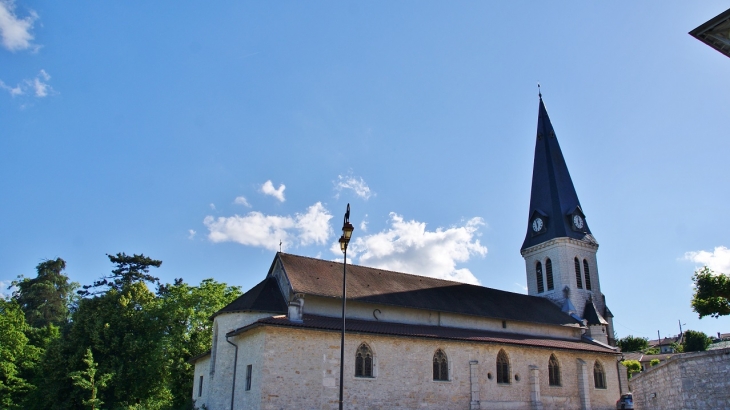 -église Saint-Martin - Neuville-sur-Ain