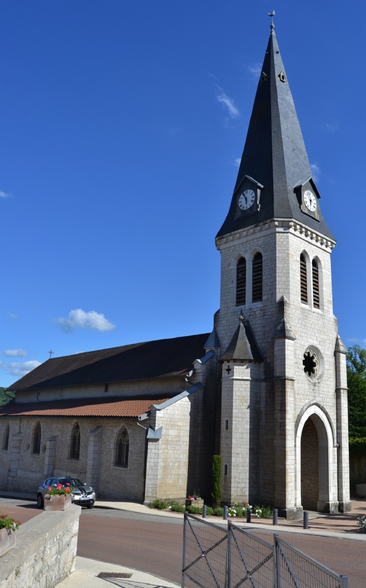 -église Saint-Martin - Neuville-sur-Ain