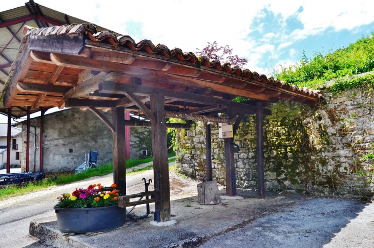 Pour le ferrage des Chevaux et des Bovins - Nivollet-Montgriffon