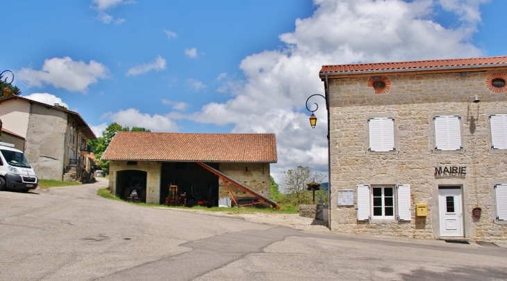 La Mairie - Nivollet-Montgriffon