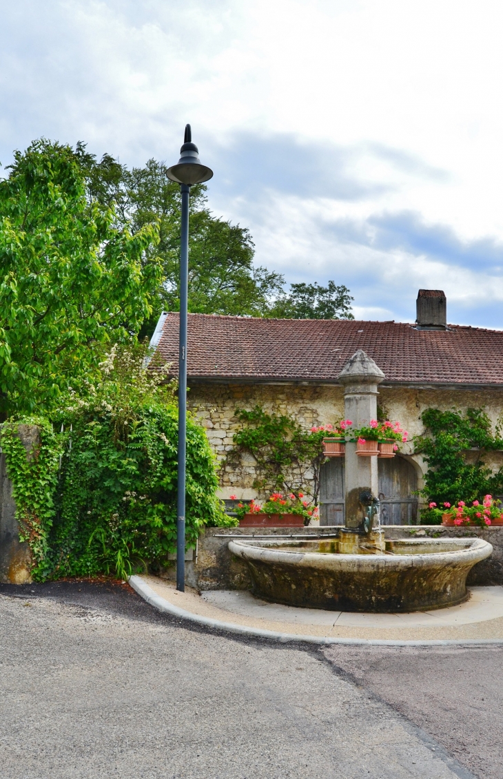 Fontaine - Nurieux-Volognat