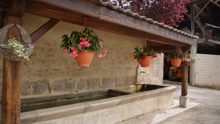 Le Lavoir - Nurieux-Volognat